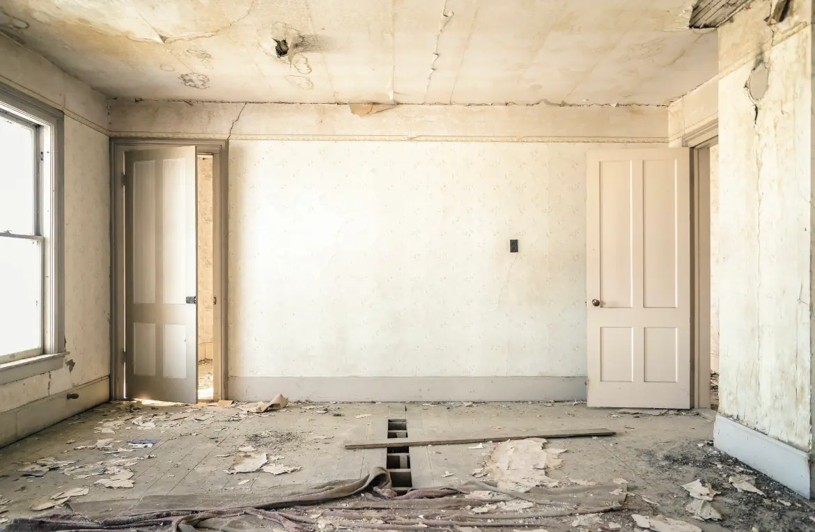 Waste disposal crew managing a cleanout project in Millsboro